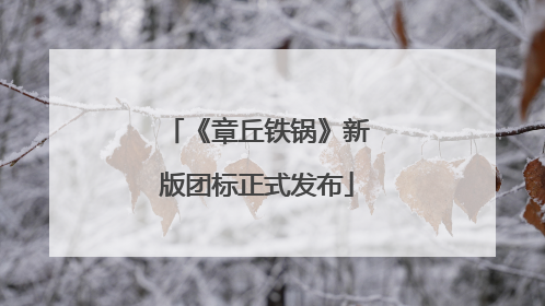 《章丘铁锅》新版团标正式发布