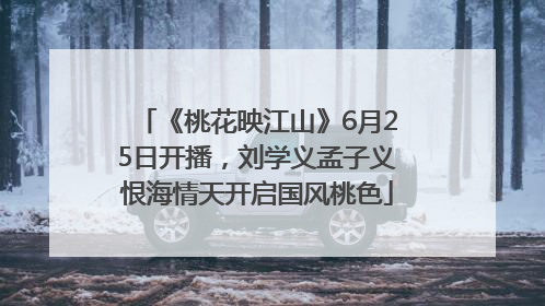 《桃花映江山》6月25日开播，刘学义孟子义恨海情天开启国风桃色