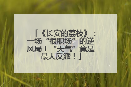 《长安的荔枝》：一场“很职场”的逆风局！“天气”竟是最大反派！