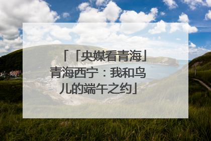 「央媒看青海」青海西宁：我和鸟儿的端午之约