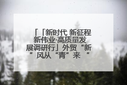 「新时代 新征程 新伟业·高质量发展调研行」外贸“新”风从“青”来 “双向奔赴”启新程