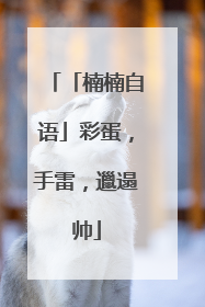「楠楠自语」彩蛋，手雷，邋遢帅