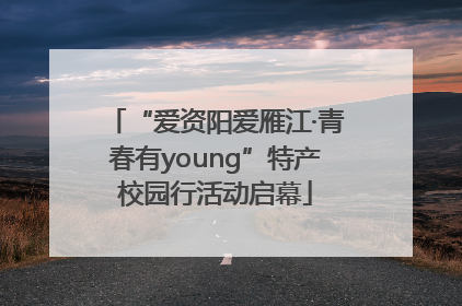 “爱资阳爱雁江·青春有young”特产校园行活动启幕