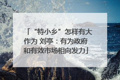 “特小乡”怎样有大作为 刘亭：有为政府和有效市场相向发力