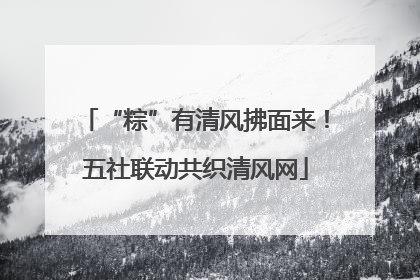 “粽”有清风拂面来！五社联动共织清风网