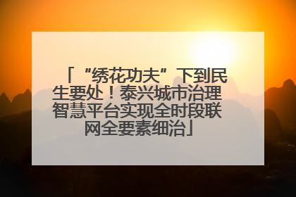“绣花功夫”下到民生要处！泰兴城市治理智慧平台实现全时段联网全要素细治