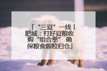 “三夏”一线丨肥城：打好夏粮收购“组合拳” 确保粮食颗粒归仓