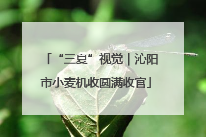 “三夏”视觉｜沁阳市小麦机收圆满收官