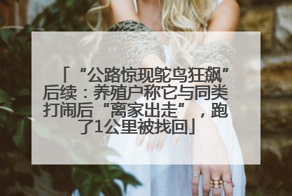 “公路惊现鸵鸟狂飙”后续：养殖户称它与同类打闹后“离家出走”，跑了1公里被找回