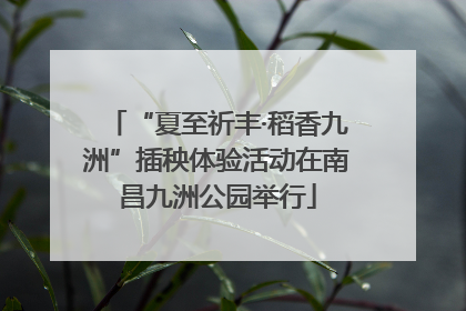 “夏至祈丰·稻香九洲”插秧体验活动在南昌九洲公园举行