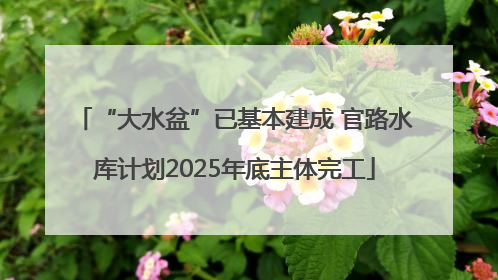 “大水盆”已基本建成 官路水库计划2025年底主体完工