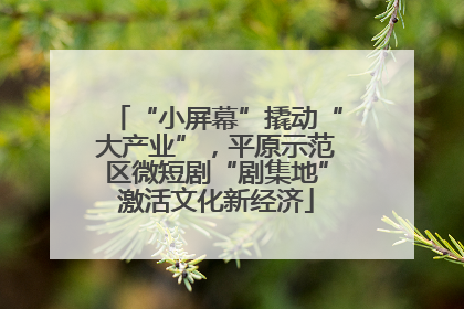 “小屏幕”撬动“大产业”，平原示范区微短剧“剧集地”激活文化新经济