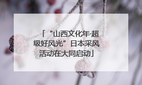 “山西文化年·超级好风光”日本采风活动在大同启动