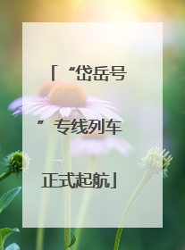 “岱岳号”专线列车正式起航