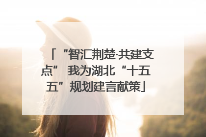 “智汇荆楚·共建支点” 我为湖北“十五五”规划建言献策