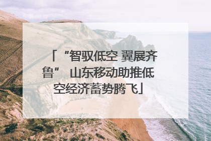 “智驭低空 翼展齐鲁” 山东移动助推低空经济蓄势腾飞