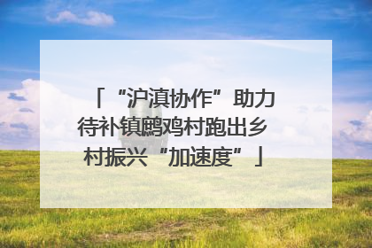 “沪滇协作”助力待补镇鹧鸡村跑出乡村振兴“加速度”