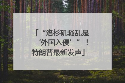 “洛杉矶骚乱是‘外国入侵’”！特朗普最新发声