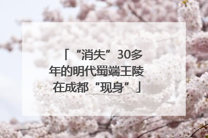 “消失”30多年的明代蜀端王陵在成都“现身”