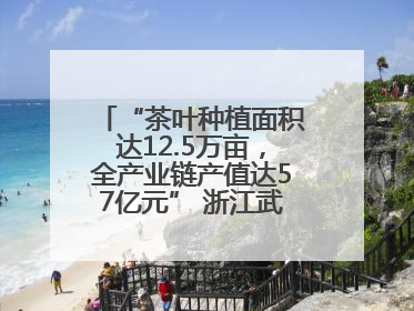 “茶叶种植面积达12.5万亩，全产业链产值达57亿元” 浙江武义茶产业全链发展“加速度”