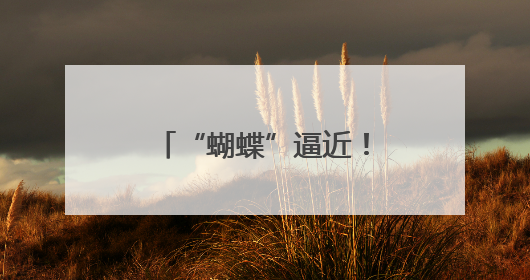 “蝴蝶”逼近！海南进入风雨核心影响时段 今明天局地有特大暴雨