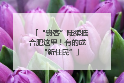 “贵客”陆续抵合肥这里！有的成“新住民”
