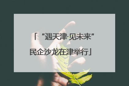 “遇天津·见未来”民企沙龙在津举行