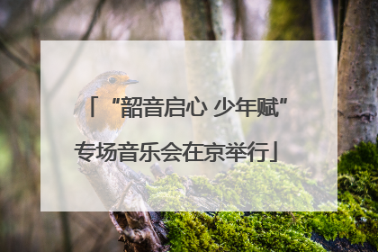 “韶音启心 少年赋”专场音乐会在京举行