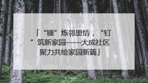 “锤”炼邻里情，“钉”筑新家园——大成社区聚力共绘家园新篇