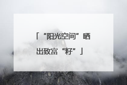 “阳光空间”晒出致富“籽”