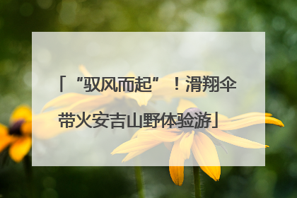 “驭风而起”！滑翔伞带火安吉山野体验游