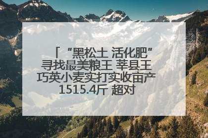 “黑松土 活化肥”寻找最美粮王 莘县王巧英小麦实打实收亩产1515.4斤 超对照田144斤！