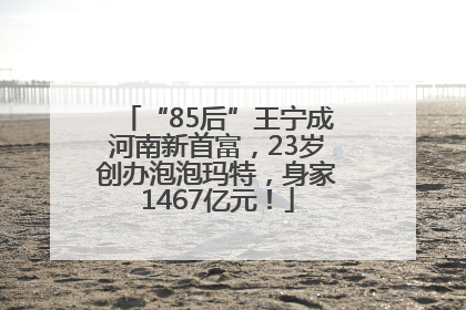 “85后”王宁成河南新首富，23岁创办泡泡玛特，身家1467亿元！