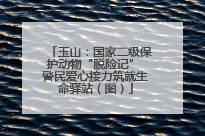 玉山：国家二级保护动物“脱险记” 警民爱心接力筑就生命驿站（图）