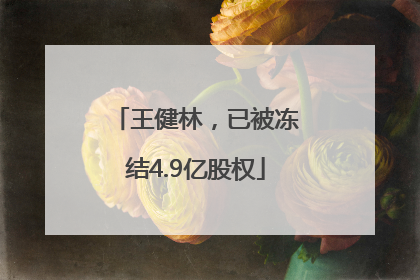 王健林，已被冻结4.9亿股权