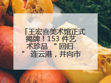 王宏喜美术馆正式揭牌！153 件艺术珍品 “ 回归 ” 连云港，并向市民免费开放
