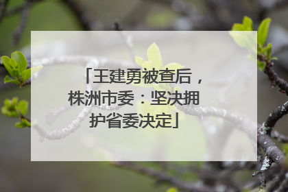 王建勇被查后，株洲市委：坚决拥护省委决定