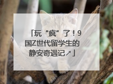 玩“疯”了！9国Z世代留学生的静安奇遇记↗