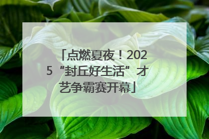 点燃夏夜！2025“封丘好生活”才艺争霸赛开幕