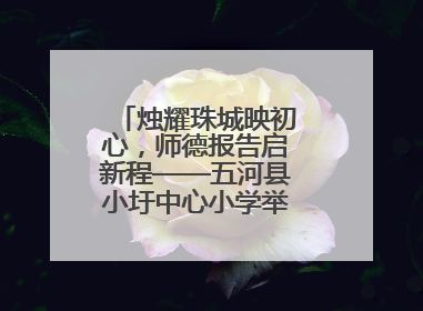 烛耀珠城映初心，师德报告启新程——五河县小圩中心小学举行师德报告会