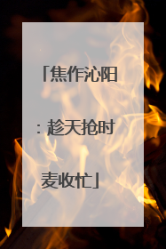 焦作沁阳：趁天抢时麦收忙