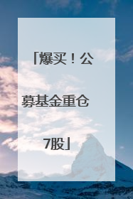 爆买！公募基金重仓7股