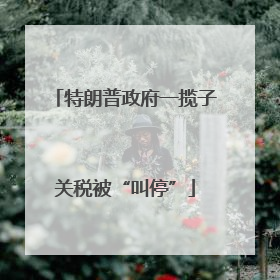 特朗普政府一揽子关税被“叫停”