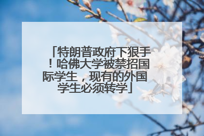 特朗普政府下狠手！哈佛大学被禁招国际学生，现有的外国学生必须转学