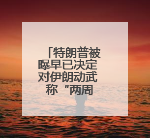 特朗普被曝早已决定对伊朗动武 称“两周内决策”为烟雾弹