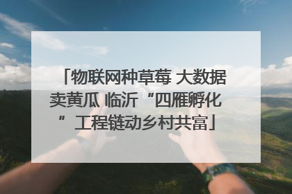 物联网种草莓 大数据卖黄瓜 临沂“四雁孵化”工程链动乡村共富