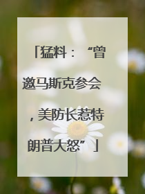 猛料：“曾邀马斯克参会，美防长惹特朗普大怒”