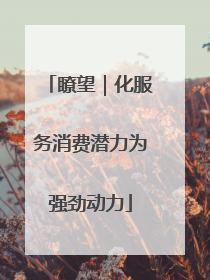 瞭望｜化服务消费潜力为强劲动力