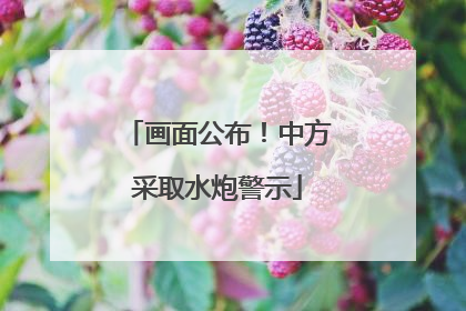 画面公布！中方采取水炮警示