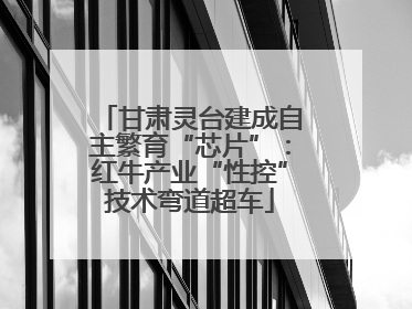 甘肃灵台建成自主繁育“芯片”：红牛产业“性控”技术弯道超车